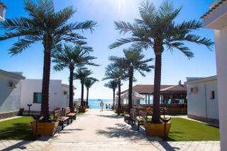 TREE of LIFE - Aktau - 0