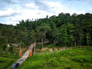 A frame cabins with Pool - Muthanga - 3