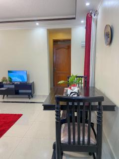 Keisha Luxury Furnished Apartment Bukoto - Kampala - 6
