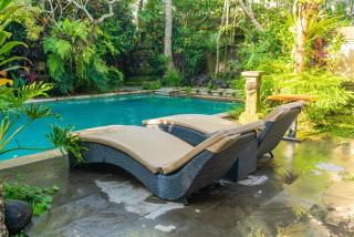 Villa Soca 3 - Ubud - 0
