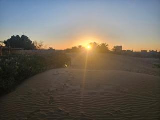 Glance over nights at camp - 5