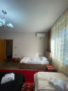 Ledi's Apartment - Gjirokastër - 7