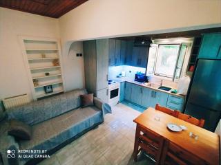 Olivo Apartment - Studio - Lixouri - 4