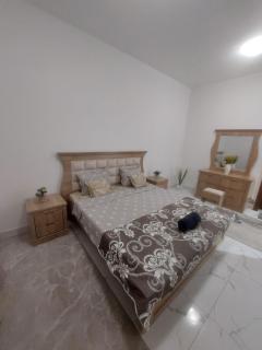Oasis tower family apartment 3004 - Ajman - 4
