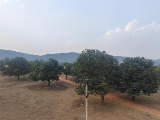 Eden Stay and Resort - Jaipur - 5