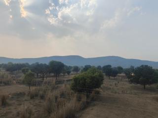 Eden Stay and Resort - Jaipur - 4