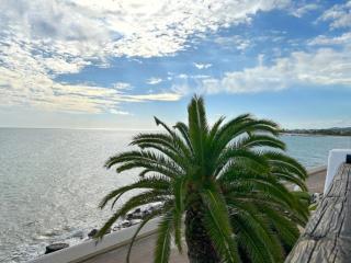 PalmBreeze - Vilanova i la Geltrú - 5