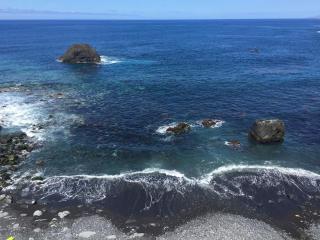 Los Alenes en Flor - Las Aguas - 6