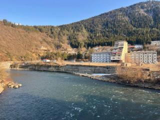 White House Apartments in Borjomi - 8