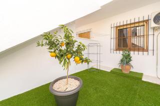 Jardin 84 - Torrevieja - 7