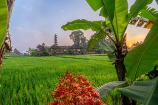 Your Dream Getaway Awaits - Villa in Ubud Offering Unmatched Temple Views! - Ubud - 9