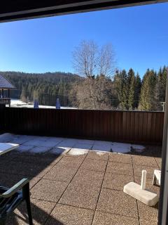 Ferienwohnung Wilma Hinterzarten - Hinterzarten - 5