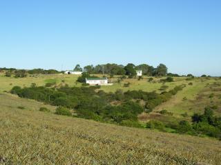The Milking parlour Cottage - - 0