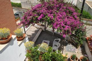 La Bouganville a 200 m dal mare - Sperlonga - 7