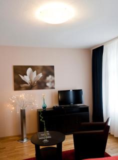 Suiten Hotel Dependance Laterne - Baden-Baden - 6
