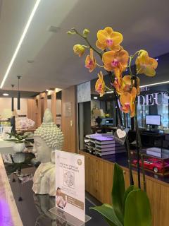 JR Hotels Bologna Amadeus - Bologna - 8