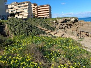 Apartamento MIRAMAR - Torrevieja - 8