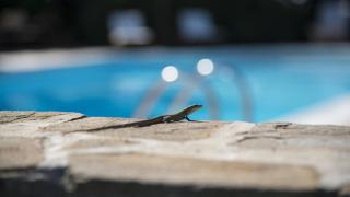 Villa Tresino B&B - Santa Maria di Castellabate - 9