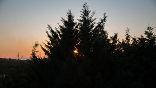 Villa Tresino B&B - Santa Maria di Castellabate - 4