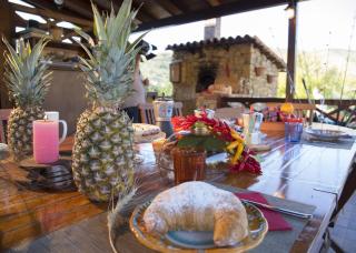 Villa Tresino B&B - 2