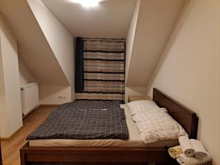 Cozy penthouse apartment in Old Town Bratislava - Bratislava - 5