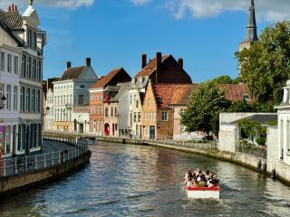 Sleeping Swan - Brugge - 0