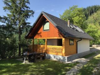 Počitniška hiša Mlekarna Grant - 7