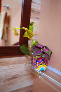 Dhanbari Retreat - - 4