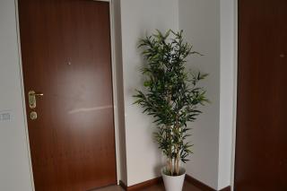 Mascagni Exclusive - Milan - 6