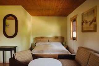 Pension und Gastwirtschaft Mareile am Rennsteig - 3