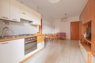 Ficus 3 - Pineto Vacanza - Pineto - 6