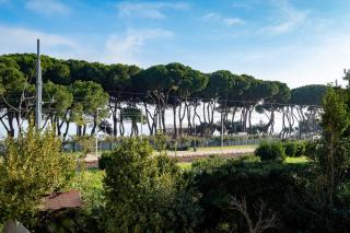 Ficus 3 - Pineto Vacanza - Pineto - 9