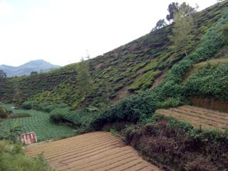 Jayamasa Lucy Home - Nuwara Eliya - 5