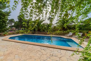 Finca Assindia, en Costa de los Pinos - 5