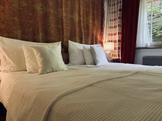 Gstaad Central and View - Gstaad - 1