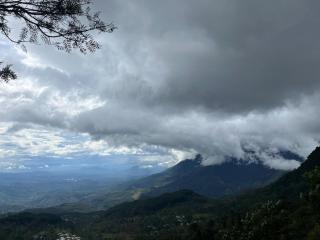 Sana's homestay haputhale - 9