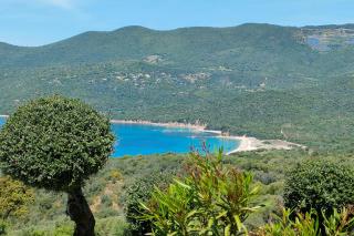 New Superbe F2 refait à neuf tout confort dans résidence avec piscine - Serra-di-Ferro - 5