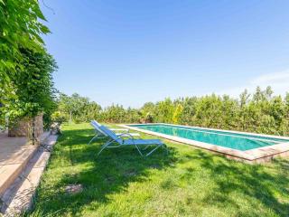 Ses Veles - Binissalem - 8