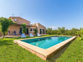 Ses Veles - Binissalem - 4