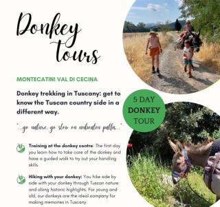 La Casa di Orazio - 4