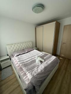 Kasper Apartament 1 - Brasov - 1