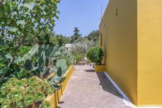 Euphoria Village House - Lagoúdi Zía - 4