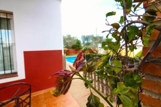 Los Candiles - Conil de la Frontera - 6