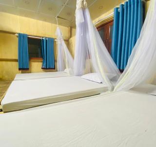 Homestay Tre Vàng - - 7