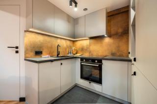 Katowice Deluxe Two-Level Apartment - Kattowitz - 5