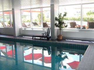 2 Zimmer Ferienwohnung mit 2 Balkons in Südbaden Bad Bellingen Hertingen Golf, Bike, Weinprobe und Wellness - Bad Bellingen - 9