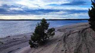 Holzhaus am Bergheider See - - 4