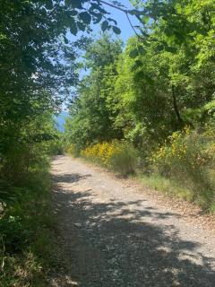 La casa del bosco - Bagnone - 9