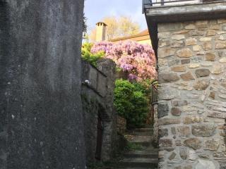 La casa del bosco - Bagnone - 0