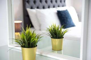 Space Apartments -One Bed Apartment - Parking - Fast Wifi - Sky Tv - 40 - Brentwood - 1